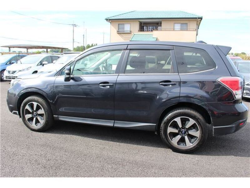 FORESTER