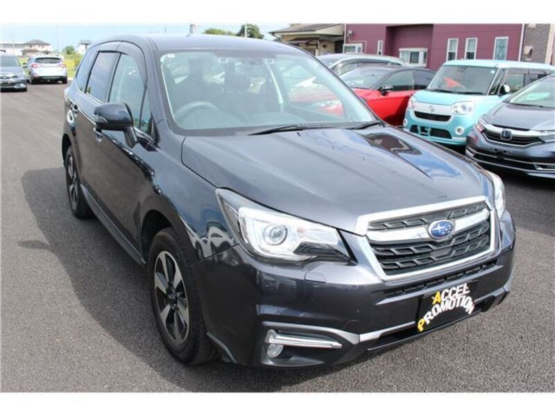 FORESTER