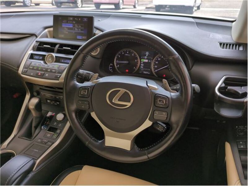 NX