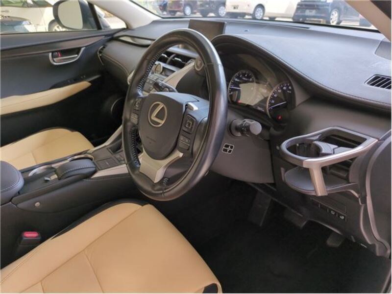 NX