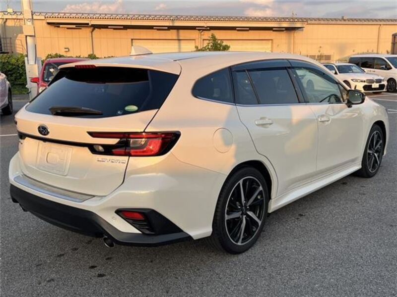 LEVORG