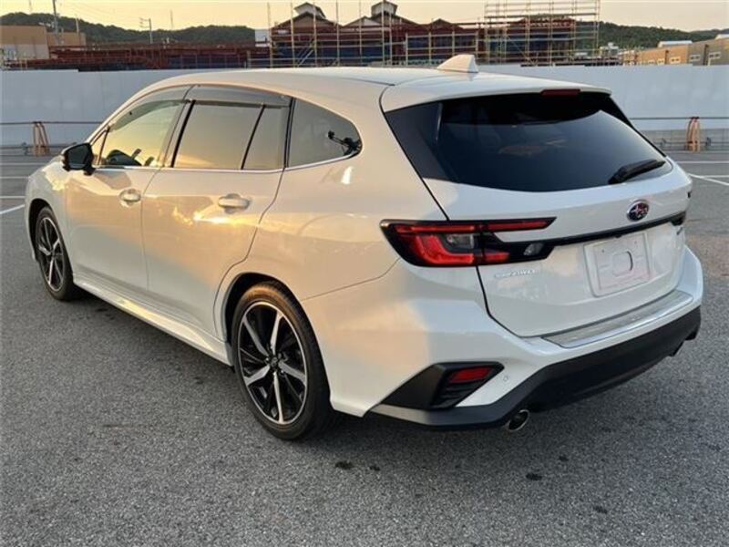 LEVORG