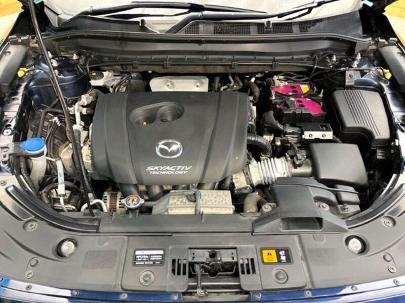 CX-8