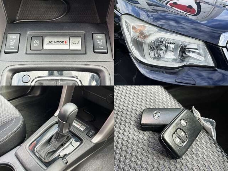 FORESTER