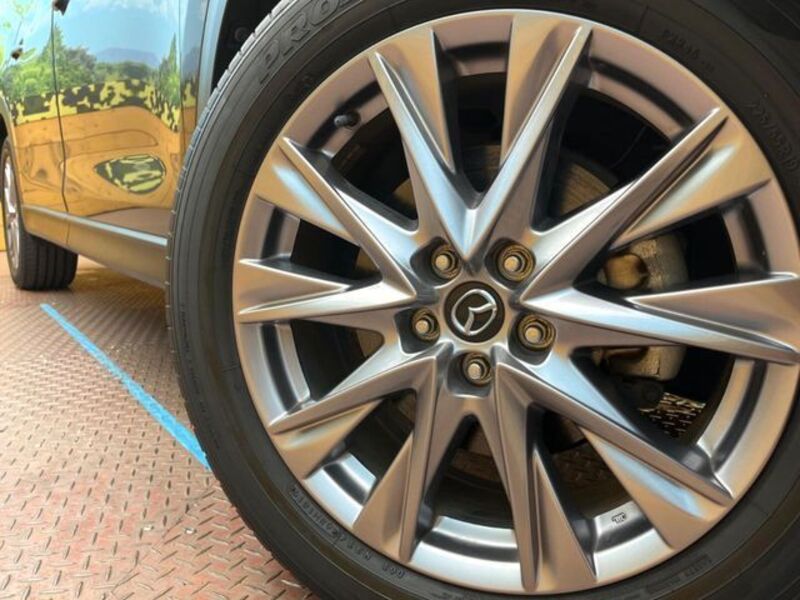 CX-8