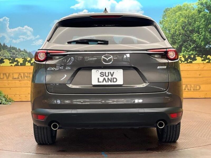 CX-8