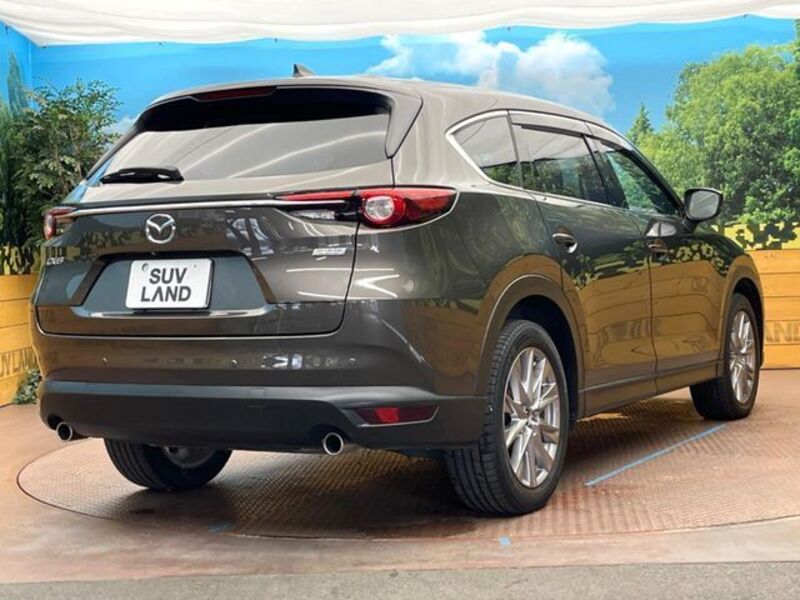 CX-8