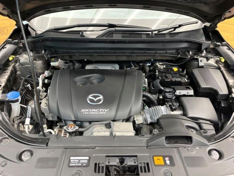 CX-8