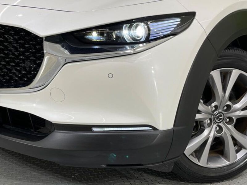 CX-30