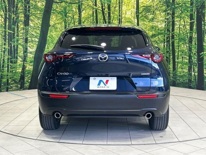 CX-30