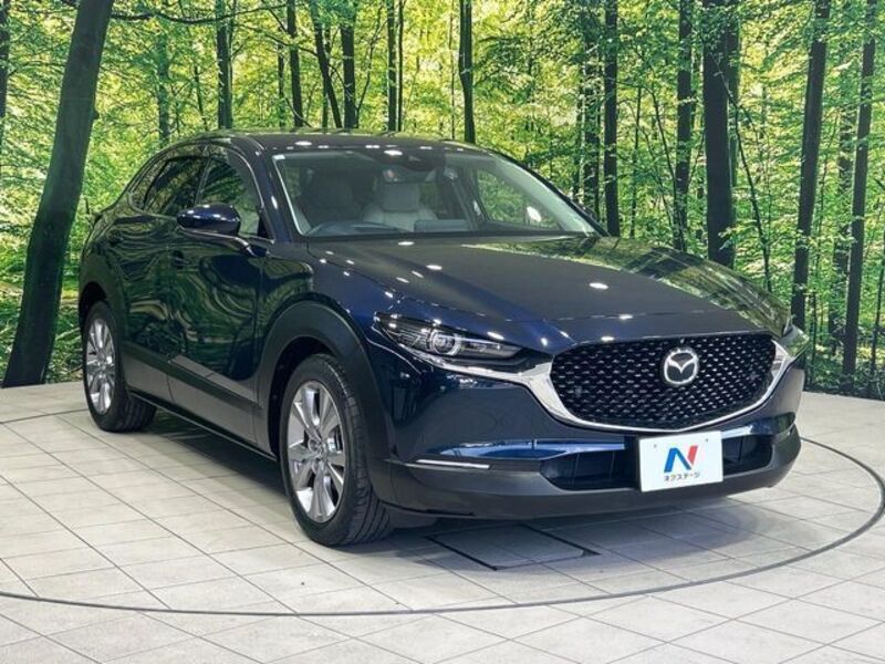 CX-30