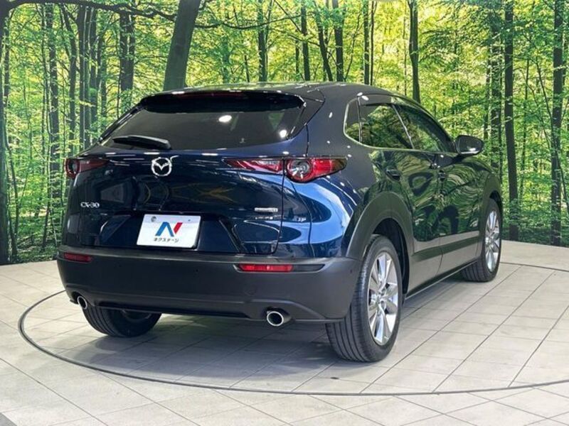CX-30