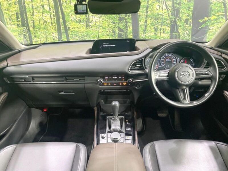 CX-30