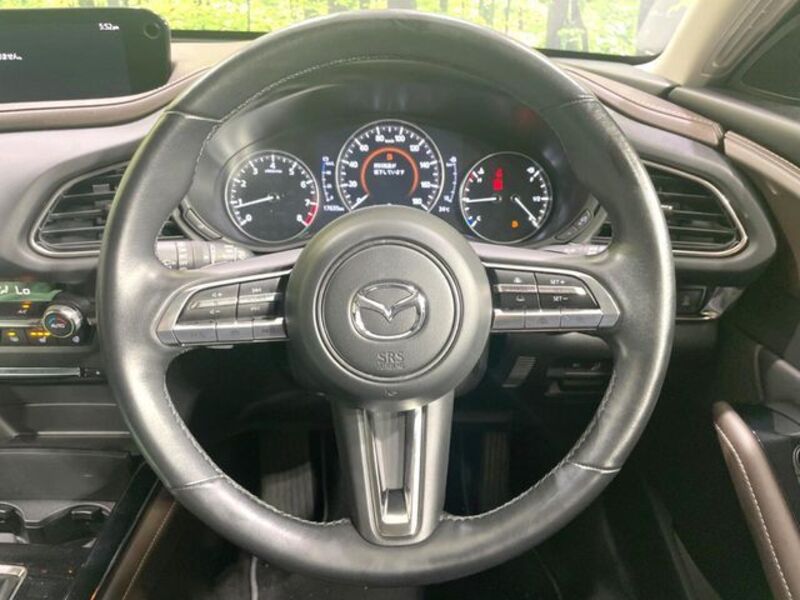 CX-30