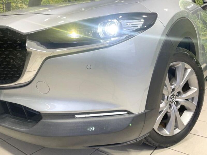 CX-30