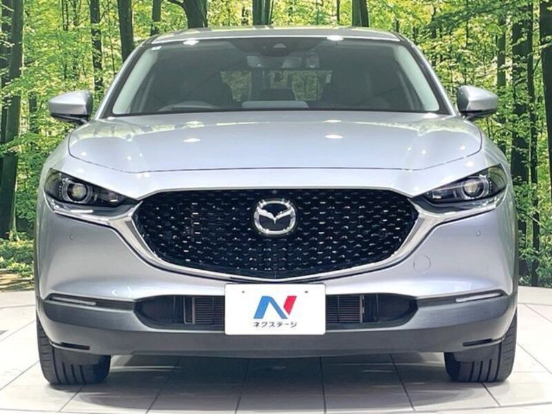 CX-30