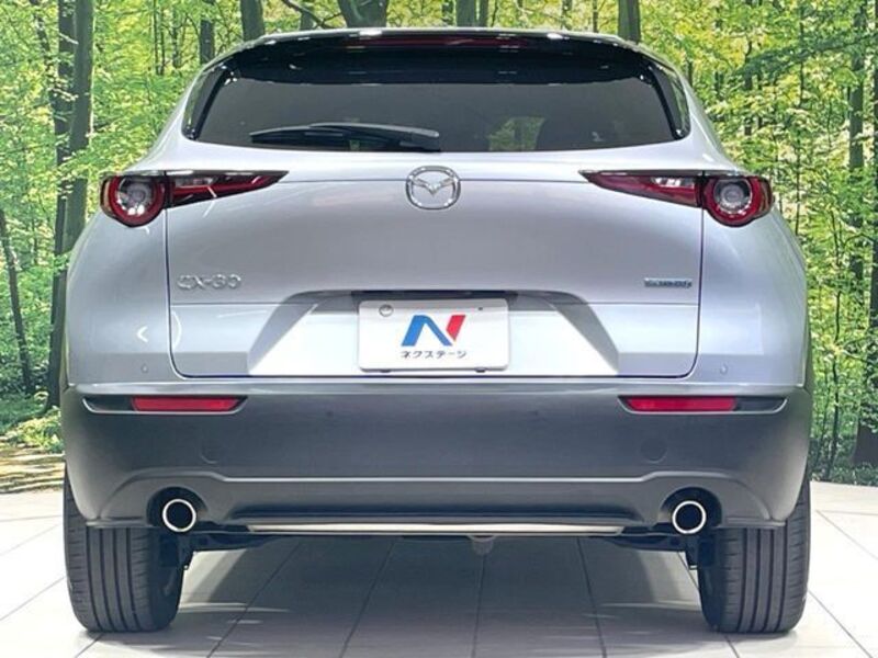 CX-30