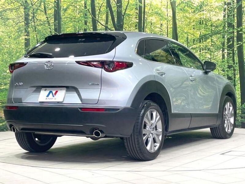 CX-30