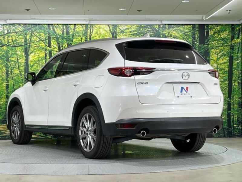 CX-8