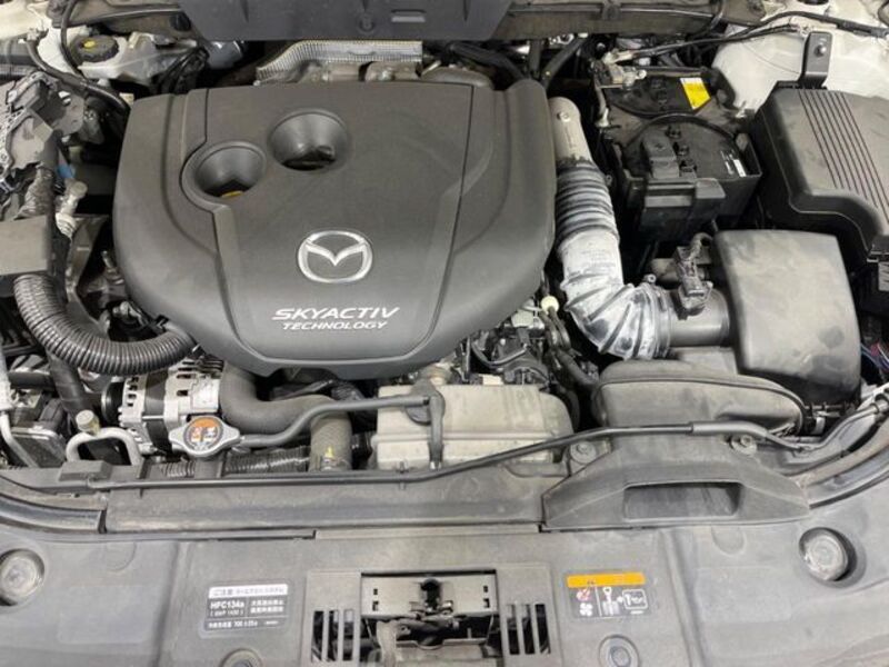 CX-8
