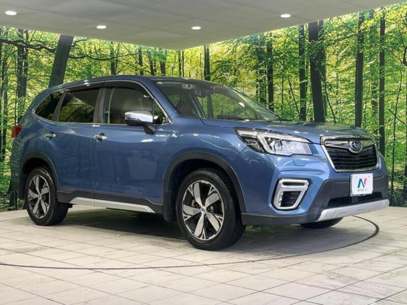 FORESTER