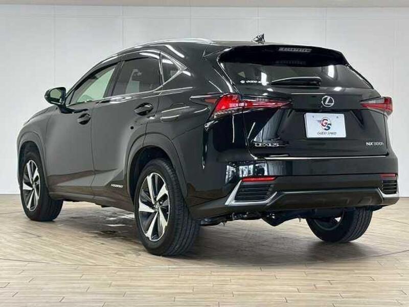 NX