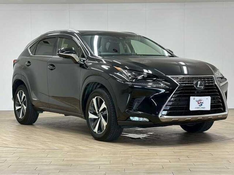 NX