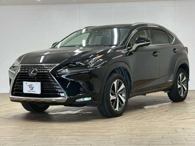 NX