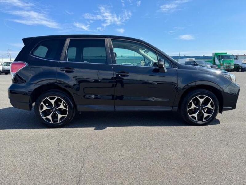 FORESTER