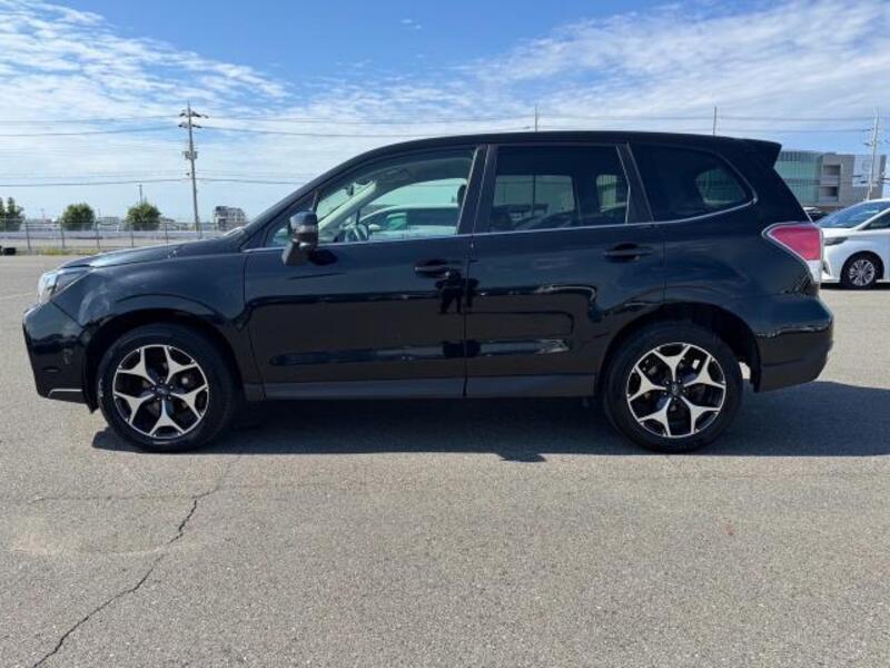 FORESTER
