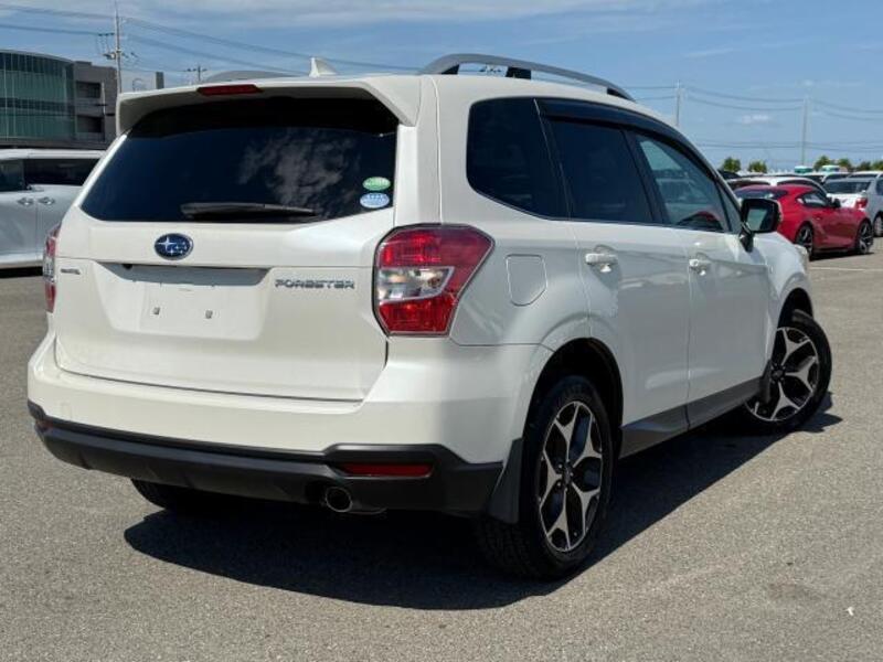 FORESTER
