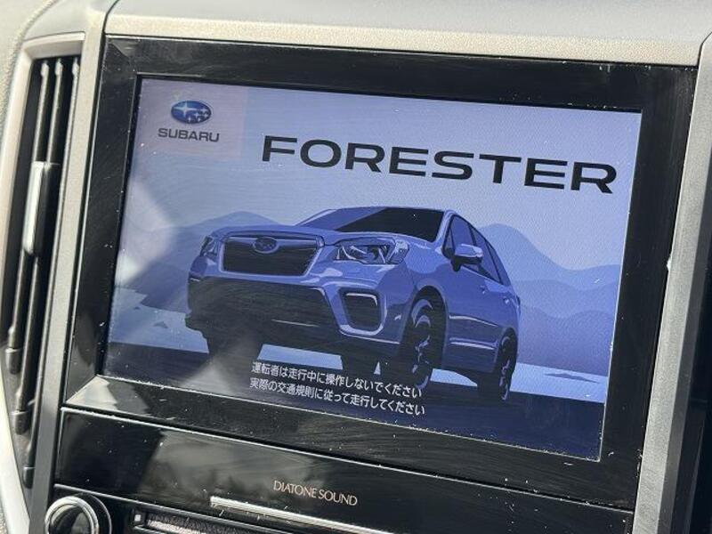 FORESTER