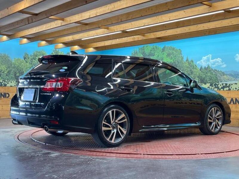 LEVORG