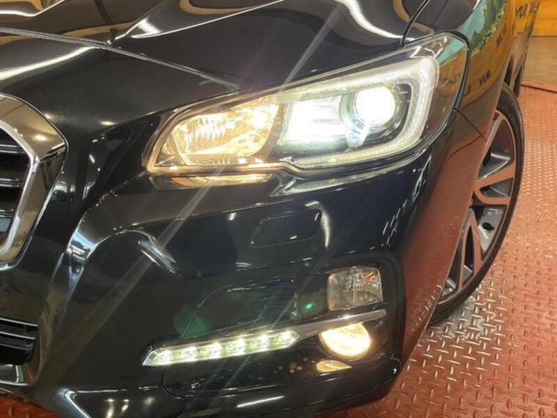 LEVORG