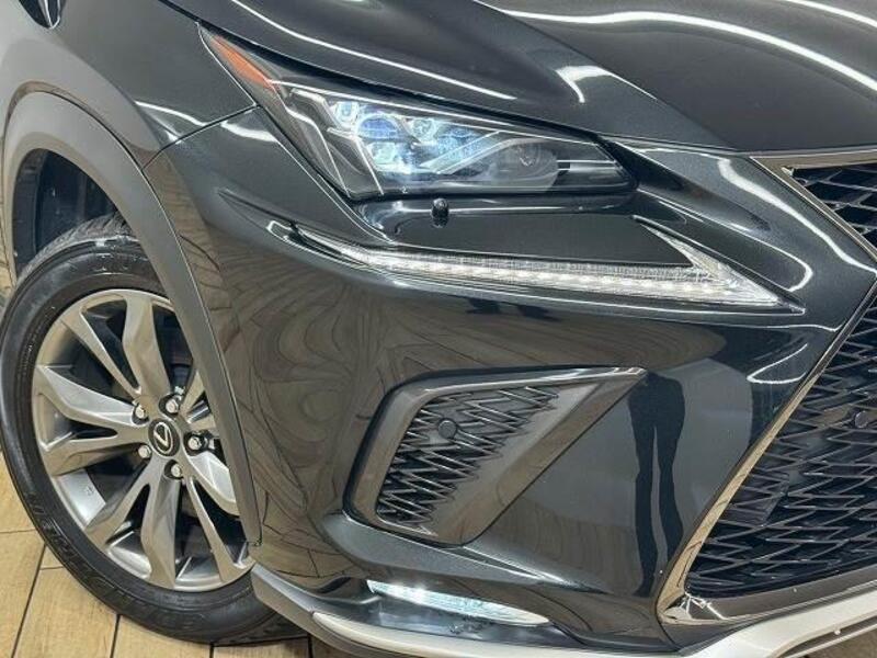 NX