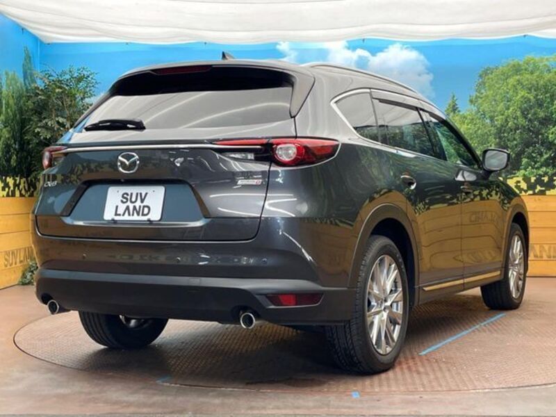 CX-8