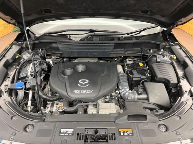 CX-8