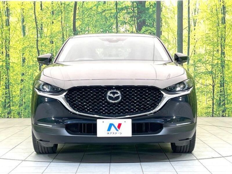 CX-30