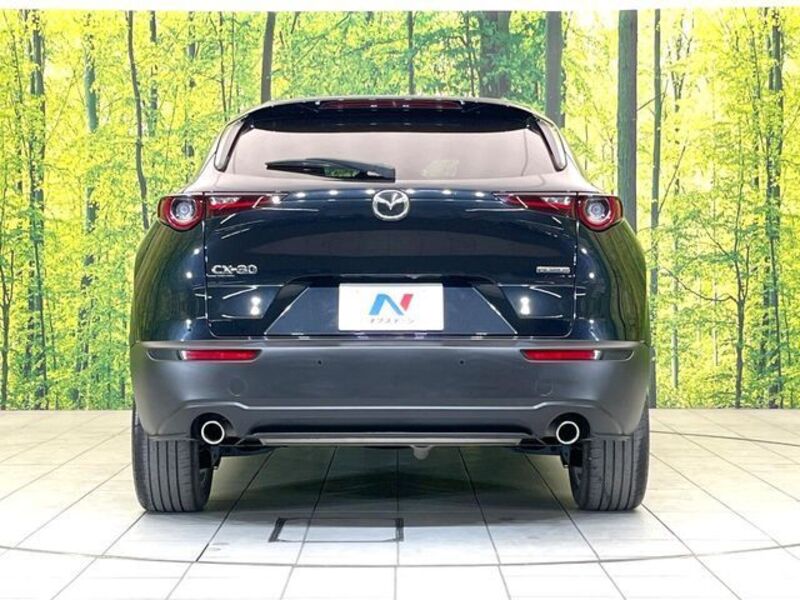 CX-30