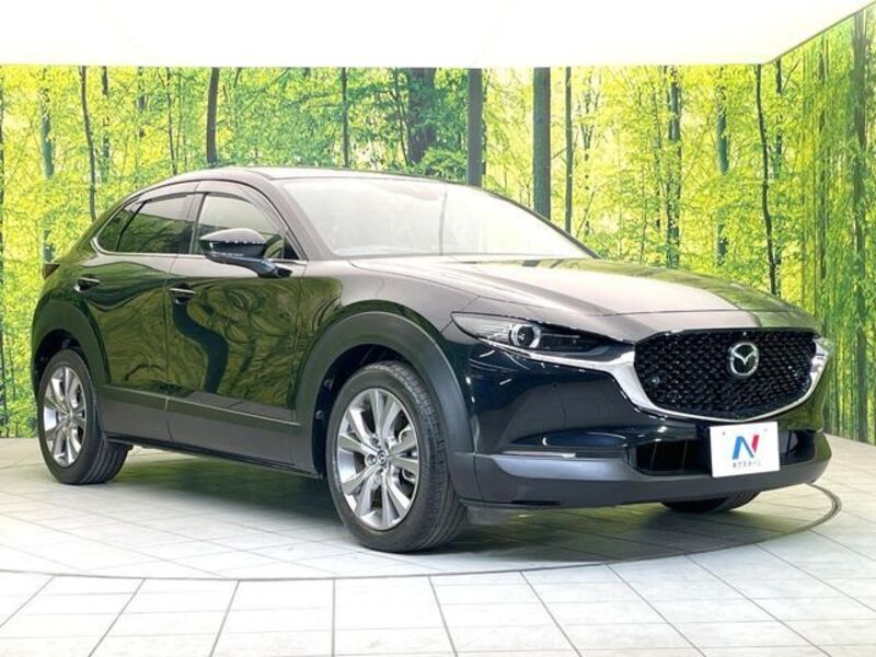 CX-30
