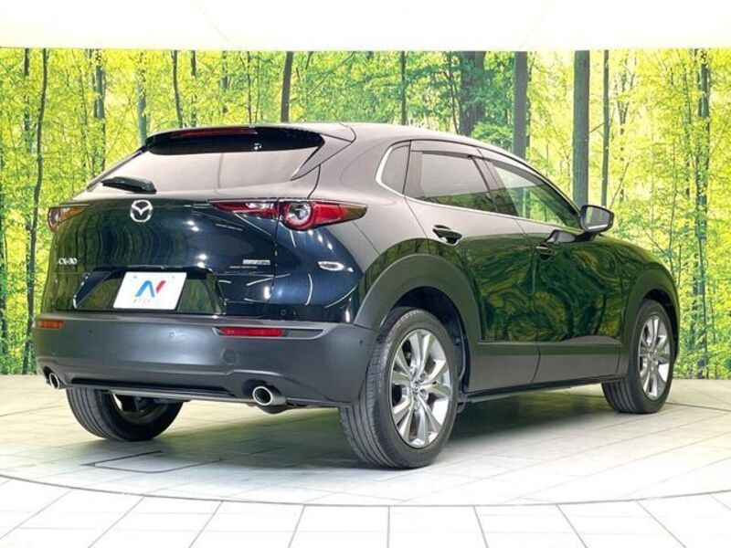 CX-30