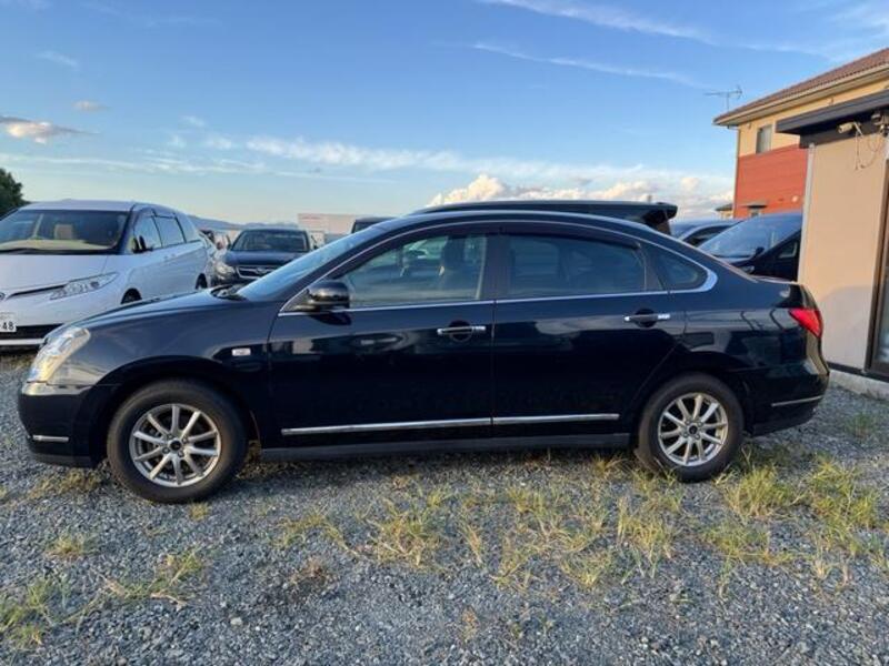 BLUEBIRD SYLPHY