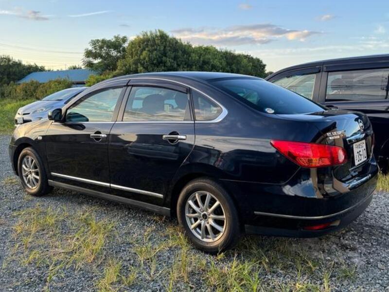 BLUEBIRD SYLPHY