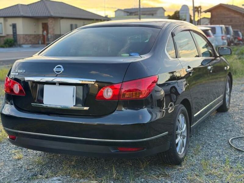 BLUEBIRD SYLPHY