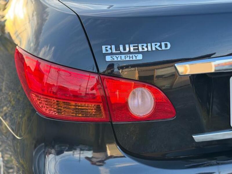 BLUEBIRD SYLPHY
