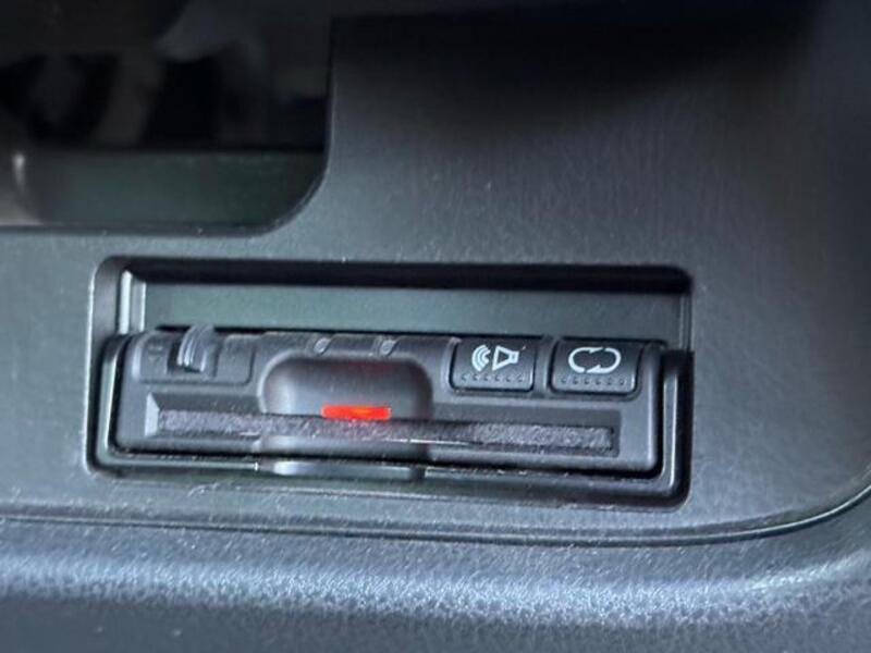 BLUEBIRD SYLPHY