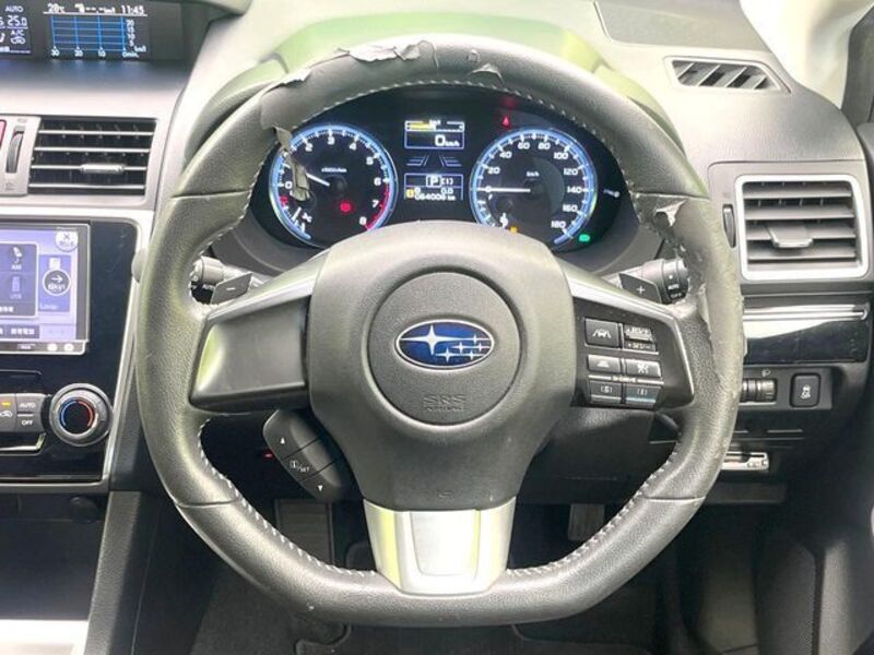 LEVORG