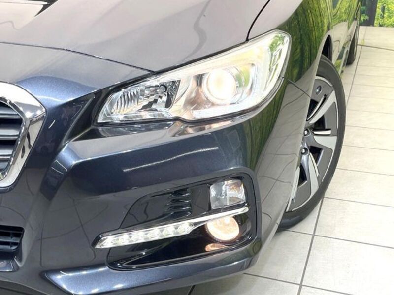 LEVORG
