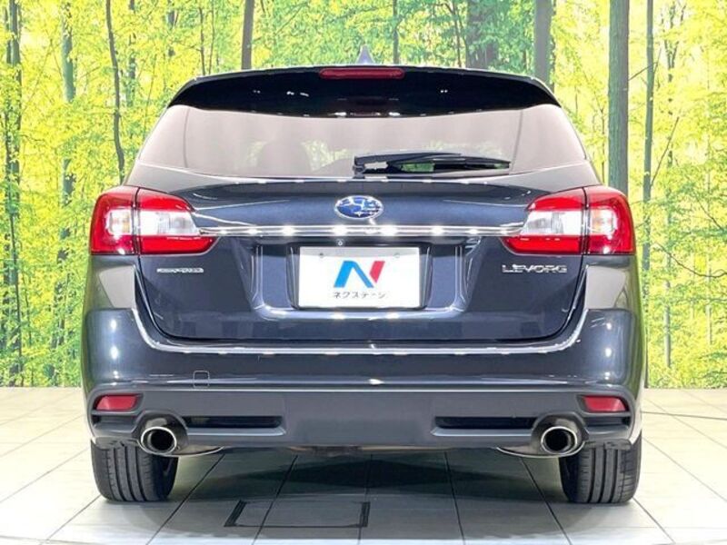 LEVORG