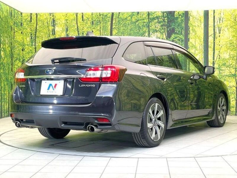LEVORG